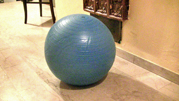 Petziball