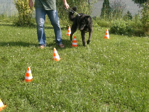 Slalom-Strecke mit Pylonen